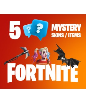 5 Mystery Fortnite Skins / Items PC Epic Games Epic Games Key GLOBAL